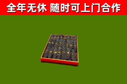 汤旺回收海参